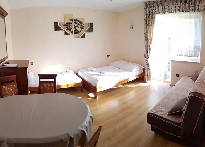 Niezapominajka Władysławowo